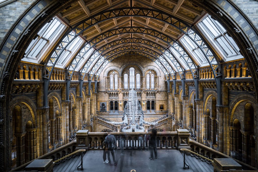 رستوران گیلکی گیشا