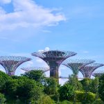 مشاهده سنگاپور از چشمان کالیرا